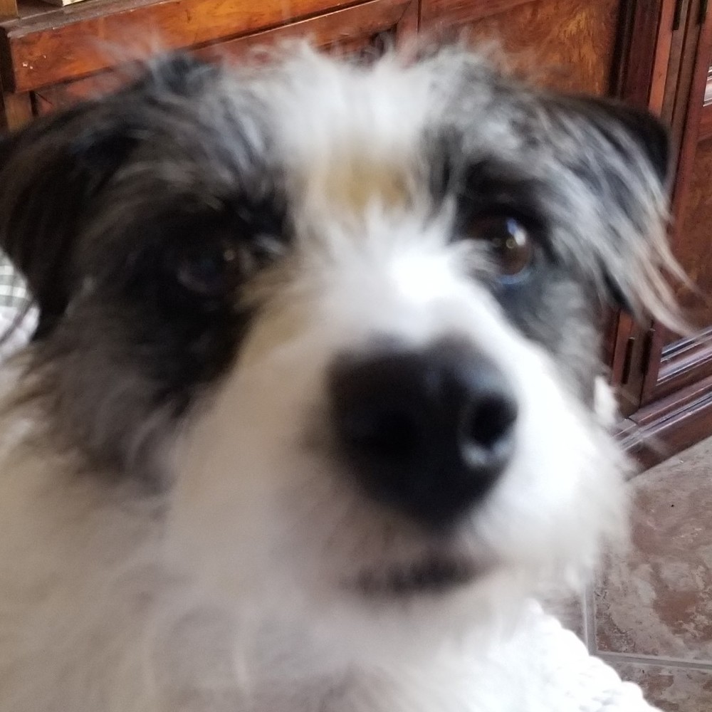 Meet your Posher, Posh